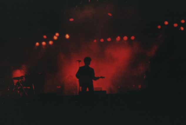 Bunnymen85