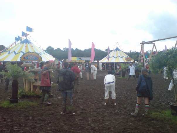 cricket at glasto