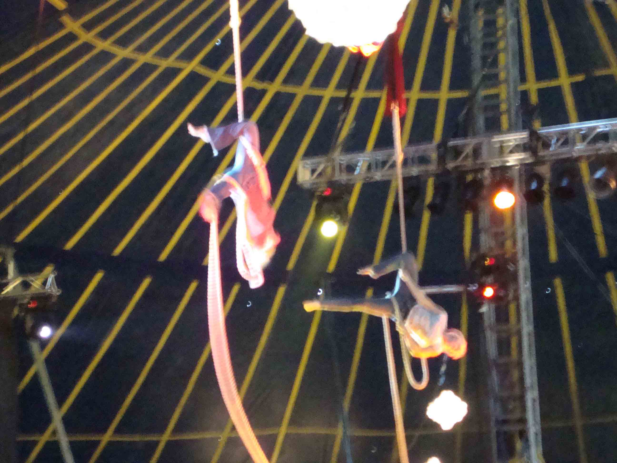 circus