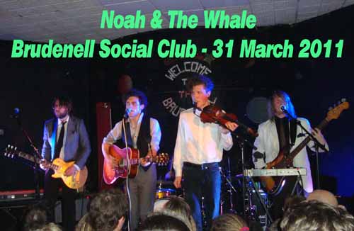 noah & the whale