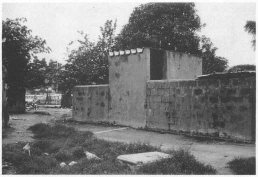 0107-01.jpg