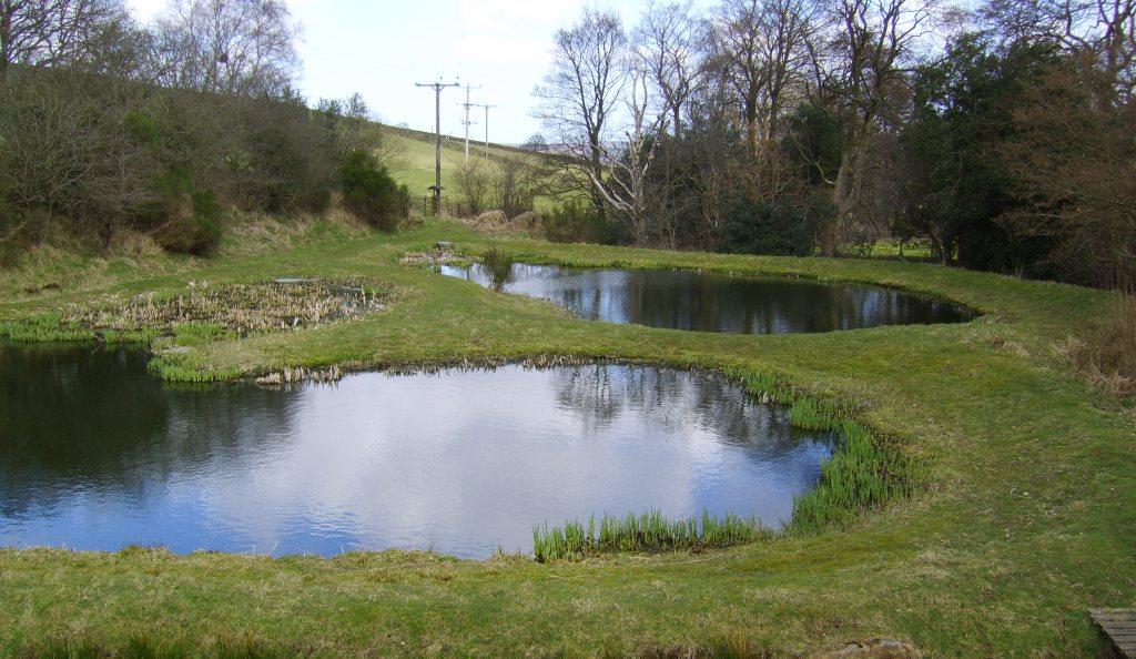 Two mat. ponds