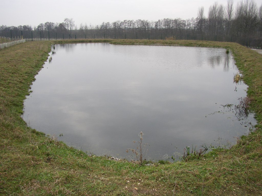 Final pond