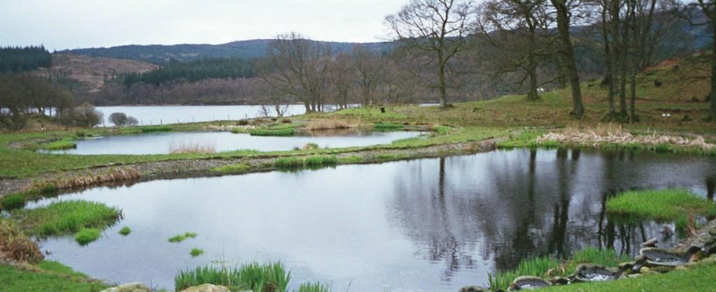Two maturation ponds